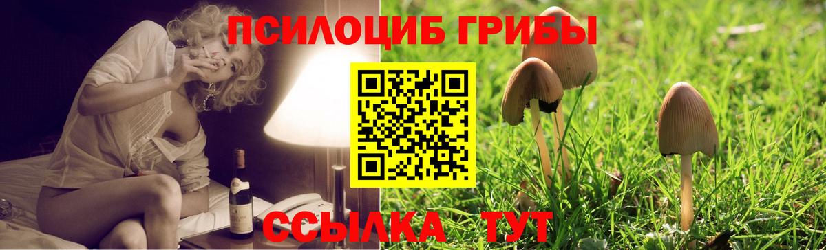 Галлюциногенные грибы Psilocybine cubensis  Вход с VPN  Рыбинск  цена   Псилоцибиновые грибы Cubensis 